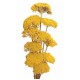 YARROW Natural 22"  (BULK)-